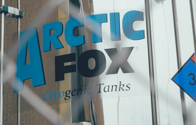 arctic-fox.png
